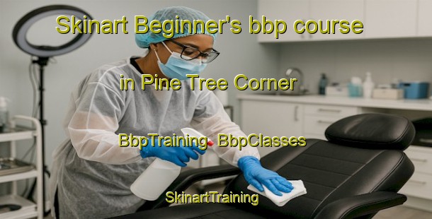 Skinart Beginner's bbp course in Pine Tree Corner | BbpTraining | BbpClasses | SkinartTraining-United States