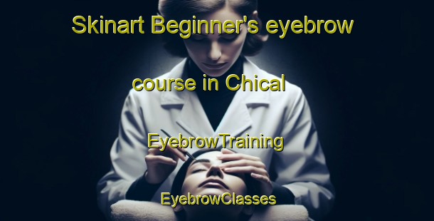 Skinart Beginner's eyebrow course in Chical | EyebrowTraining | EyebrowClasses | SkinartTraining-United States