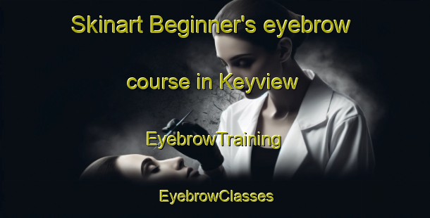 Skinart Beginner's eyebrow course in Keyview | EyebrowTraining | EyebrowClasses | SkinartTraining-United States