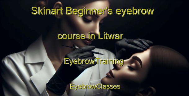 Skinart Beginner's eyebrow course in Litwar | EyebrowTraining | EyebrowClasses | SkinartTraining-United States