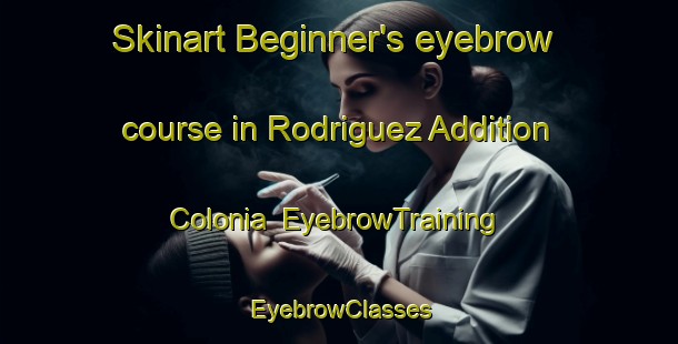 Skinart Beginner's eyebrow course in Rodriguez Addition Colonia | EyebrowTraining | EyebrowClasses | SkinartTraining-United States