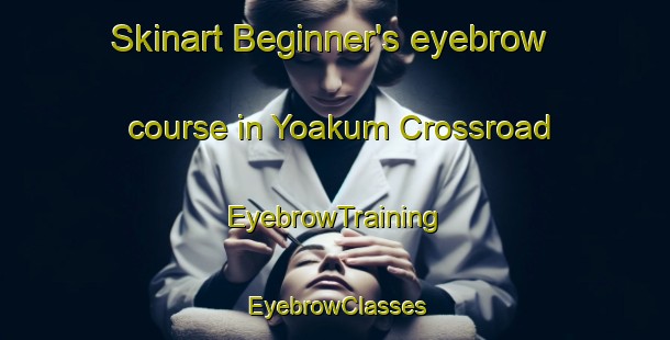 Skinart Beginner's eyebrow course in Yoakum Crossroad | EyebrowTraining | EyebrowClasses | SkinartTraining-United States