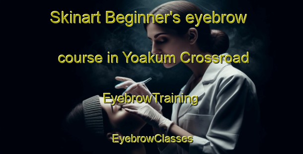 Skinart Beginner's eyebrow course in Yoakum Crossroad | EyebrowTraining | EyebrowClasses | SkinartTraining-United States