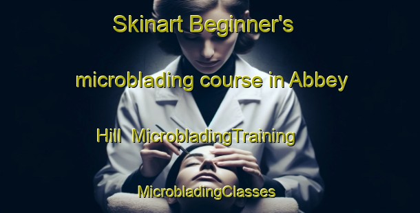Skinart Beginner's microblading course in Abbey Hill | MicrobladingTraining | MicrobladingClasses | SkinartTraining-United States
