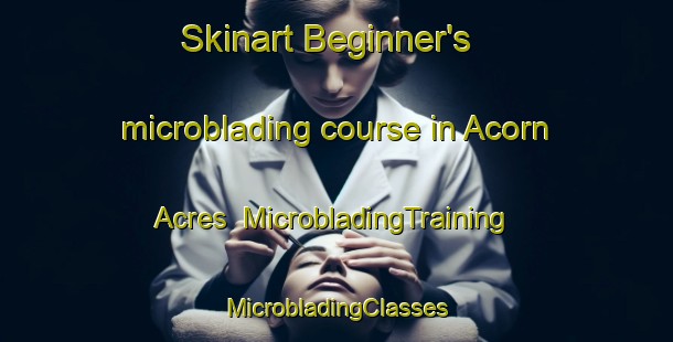 Skinart Beginner's microblading course in Acorn Acres | #MicrobladingTraining #MicrobladingClasses #SkinartTraining-United States