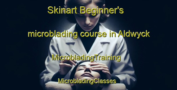 Skinart Beginner's microblading course in Aldwyck | MicrobladingTraining | MicrobladingClasses | SkinartTraining-United States