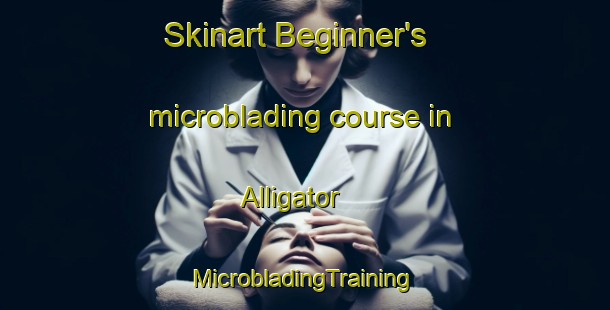 Skinart Beginner's microblading course in Alligator | #MicrobladingTraining #MicrobladingClasses #SkinartTraining-United States