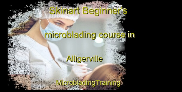 Skinart Beginner's microblading course in Alligerville | MicrobladingTraining | MicrobladingClasses | SkinartTraining-United States