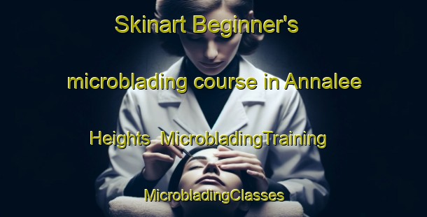 Skinart Beginner's microblading course in Annalee Heights | #MicrobladingTraining #MicrobladingClasses #SkinartTraining-United States