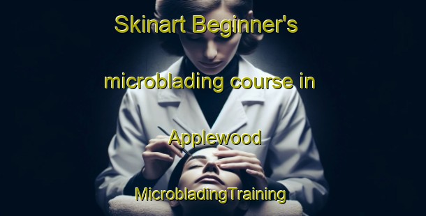 Skinart Beginner's microblading course in Applewood | #MicrobladingTraining #MicrobladingClasses #SkinartTraining-United States