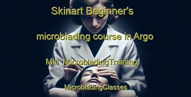 Skinart Beginner's microblading course in Argo Mill | #MicrobladingTraining #MicrobladingClasses #SkinartTraining-United States