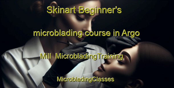 Skinart Beginner's microblading course in Argo Mill | MicrobladingTraining | MicrobladingClasses | SkinartTraining-United States