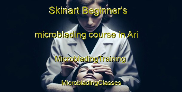 Skinart Beginner's microblading course in Ari | #MicrobladingTraining #MicrobladingClasses #SkinartTraining-United States