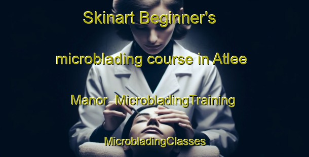 Skinart Beginner's microblading course in Atlee Manor | #MicrobladingTraining #MicrobladingClasses #SkinartTraining-United States