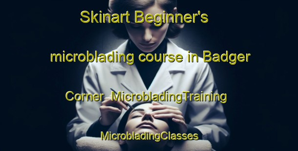 Skinart Beginner's microblading course in Badger Corner | #MicrobladingTraining #MicrobladingClasses #SkinartTraining-United States