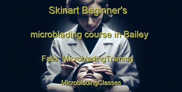 Skinart Beginner's microblading course in Bailey Falls | #MicrobladingTraining #MicrobladingClasses #SkinartTraining-United States