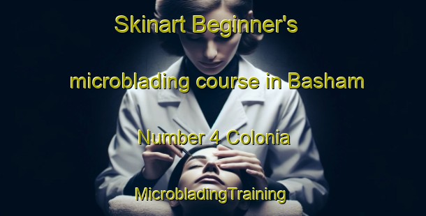 Skinart Beginner's microblading course in Basham Number 4 Colonia | #MicrobladingTraining #MicrobladingClasses #SkinartTraining-United States