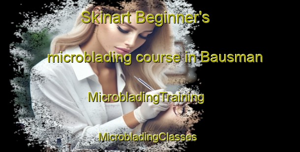Skinart Beginner's microblading course in Bausman | MicrobladingTraining | MicrobladingClasses | SkinartTraining-United States