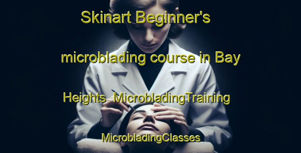 Skinart Beginner's microblading course in Bay Heights | #MicrobladingTraining #MicrobladingClasses #SkinartTraining-United States