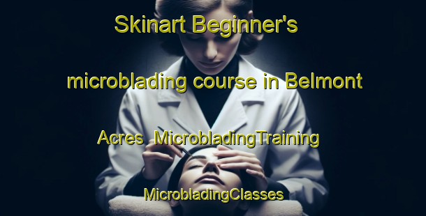 Skinart Beginner's microblading course in Belmont Acres | #MicrobladingTraining #MicrobladingClasses #SkinartTraining-United States