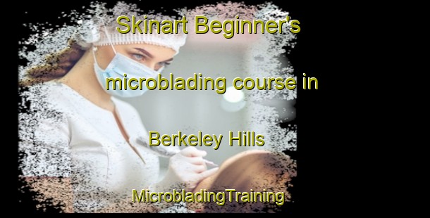 Skinart Beginner's microblading course in Berkeley Hills | MicrobladingTraining | MicrobladingClasses | SkinartTraining-United States