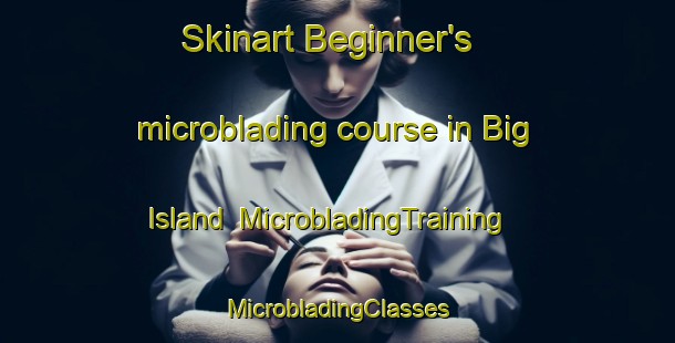 Skinart Beginner's microblading course in Big Island | #MicrobladingTraining #MicrobladingClasses #SkinartTraining-United States