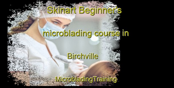 Skinart Beginner's microblading course in Birchville | #MicrobladingTraining #MicrobladingClasses #SkinartTraining-United States