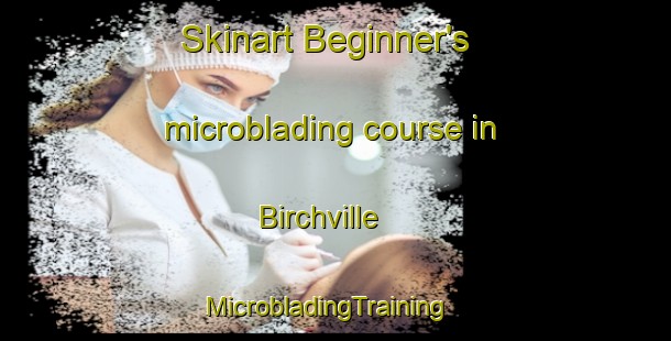 Skinart Beginner's microblading course in Birchville | MicrobladingTraining | MicrobladingClasses | SkinartTraining-United States
