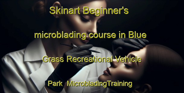 Skinart Beginner's microblading course in Blue Grass Recreational Vehicle Park | #MicrobladingTraining #MicrobladingClasses #SkinartTraining-United States