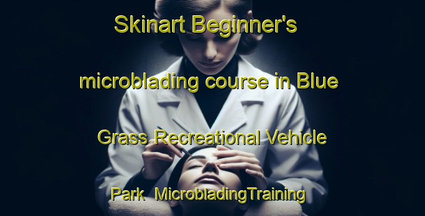 Skinart Beginner's microblading course in Blue Grass Recreational Vehicle Park | #MicrobladingTraining #MicrobladingClasses #SkinartTraining-United States