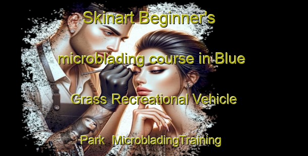 Skinart Beginner's microblading course in Blue Grass Recreational Vehicle Park | #MicrobladingTraining #MicrobladingClasses #SkinartTraining-United States