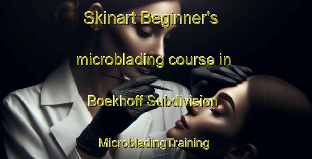 Skinart Beginner's microblading course in Boekhoff Subdivision | #MicrobladingTraining #MicrobladingClasses #SkinartTraining-United States