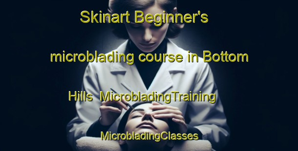 Skinart Beginner's microblading course in Bottom Hills | #MicrobladingTraining #MicrobladingClasses #SkinartTraining-United States