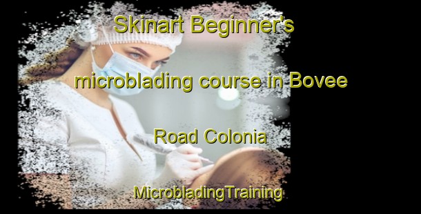 Skinart Beginner's microblading course in Bovee Road Colonia | #MicrobladingTraining #MicrobladingClasses #SkinartTraining-United States