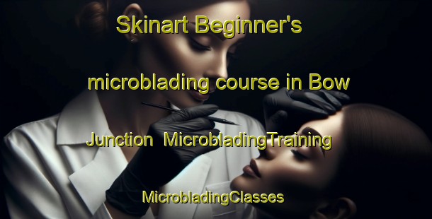 Skinart Beginner's microblading course in Bow Junction | MicrobladingTraining | MicrobladingClasses | SkinartTraining-United States