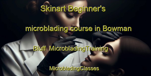 Skinart Beginner's microblading course in Bowman Bluff | MicrobladingTraining | MicrobladingClasses | SkinartTraining-United States