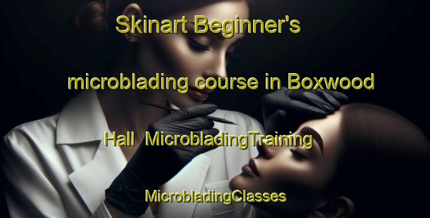 Skinart Beginner's microblading course in Boxwood Hall | #MicrobladingTraining #MicrobladingClasses #SkinartTraining-United States