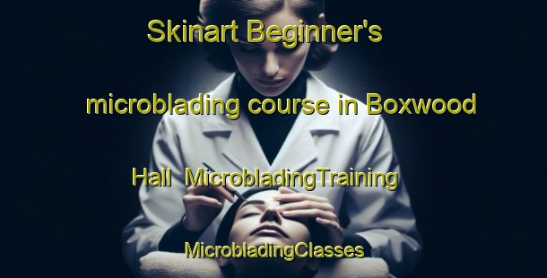 Skinart Beginner's microblading course in Boxwood Hall | #MicrobladingTraining #MicrobladingClasses #SkinartTraining-United States