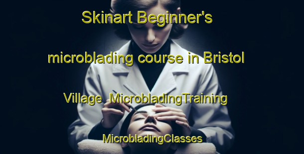 Skinart Beginner's microblading course in Bristol Village | #MicrobladingTraining #MicrobladingClasses #SkinartTraining-United States