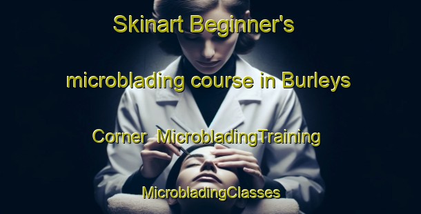 Skinart Beginner's microblading course in Burleys Corner | #MicrobladingTraining #MicrobladingClasses #SkinartTraining-United States