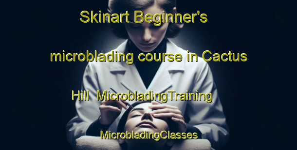 Skinart Beginner's microblading course in Cactus Hill | #MicrobladingTraining #MicrobladingClasses #SkinartTraining-United States