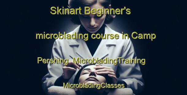 Skinart Beginner's microblading course in Camp Pershing | #MicrobladingTraining #MicrobladingClasses #SkinartTraining-United States