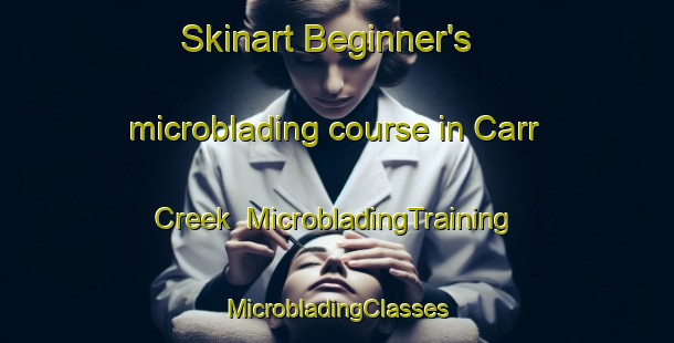 Skinart Beginner's microblading course in Carr Creek | #MicrobladingTraining #MicrobladingClasses #SkinartTraining-United States