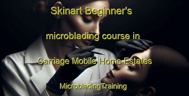 Skinart Beginner's microblading course in Carriage Mobile Home Estates | #MicrobladingTraining #MicrobladingClasses #SkinartTraining-United States