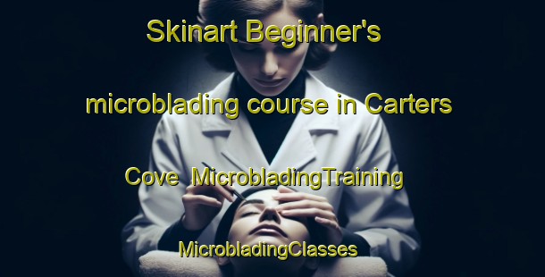 Skinart Beginner's microblading course in Carters Cove | MicrobladingTraining | MicrobladingClasses | SkinartTraining-United States
