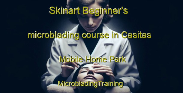 Skinart Beginner's microblading course in Casitas Mobile Home Park | #MicrobladingTraining #MicrobladingClasses #SkinartTraining-United States