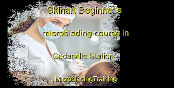 Skinart Beginner's microblading course in Cedarville Station | #MicrobladingTraining #MicrobladingClasses #SkinartTraining-United States