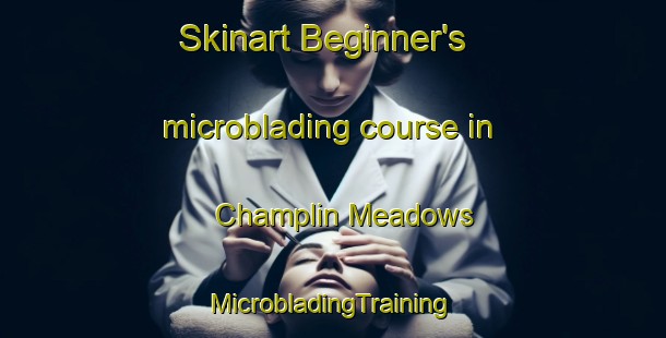 Skinart Beginner's microblading course in Champlin Meadows | #MicrobladingTraining #MicrobladingClasses #SkinartTraining-United States