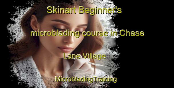 Skinart Beginner's microblading course in Chase Lane Village | #MicrobladingTraining #MicrobladingClasses #SkinartTraining-United States