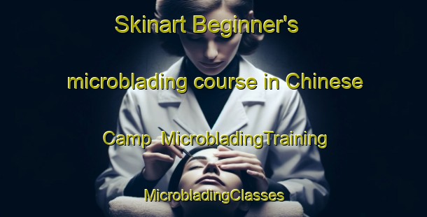 Skinart Beginner's microblading course in Chinese Camp | #MicrobladingTraining #MicrobladingClasses #SkinartTraining-United States